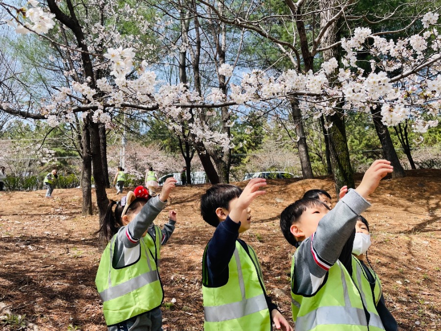 파랑새반 3월 숲놀이