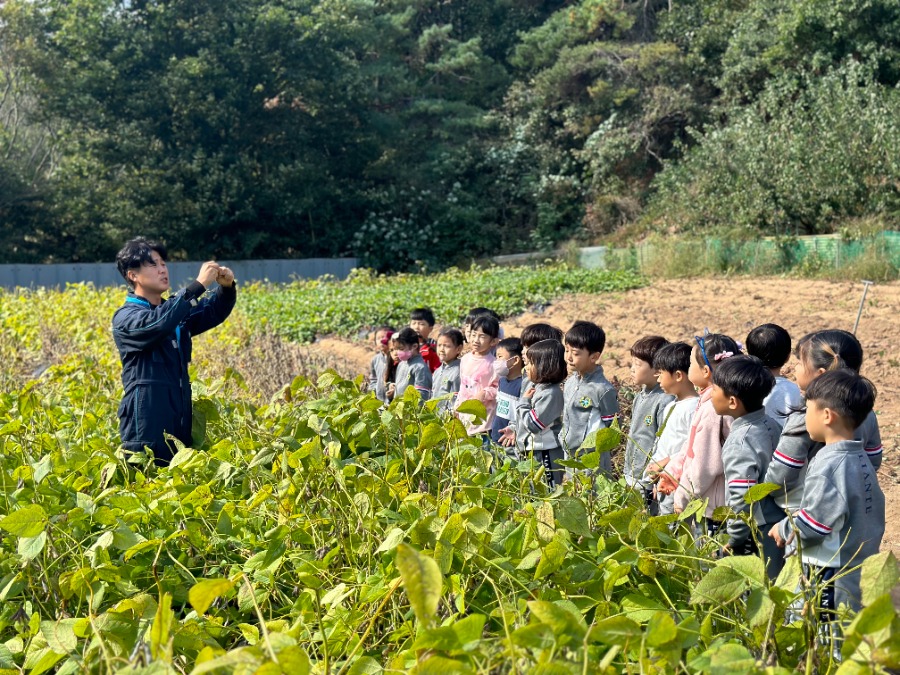 사과따기 체험